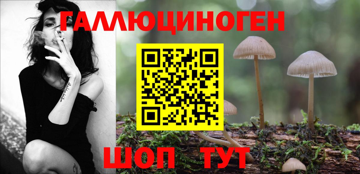 Псилоцибиновые грибы прущие грибы Ялуторовск